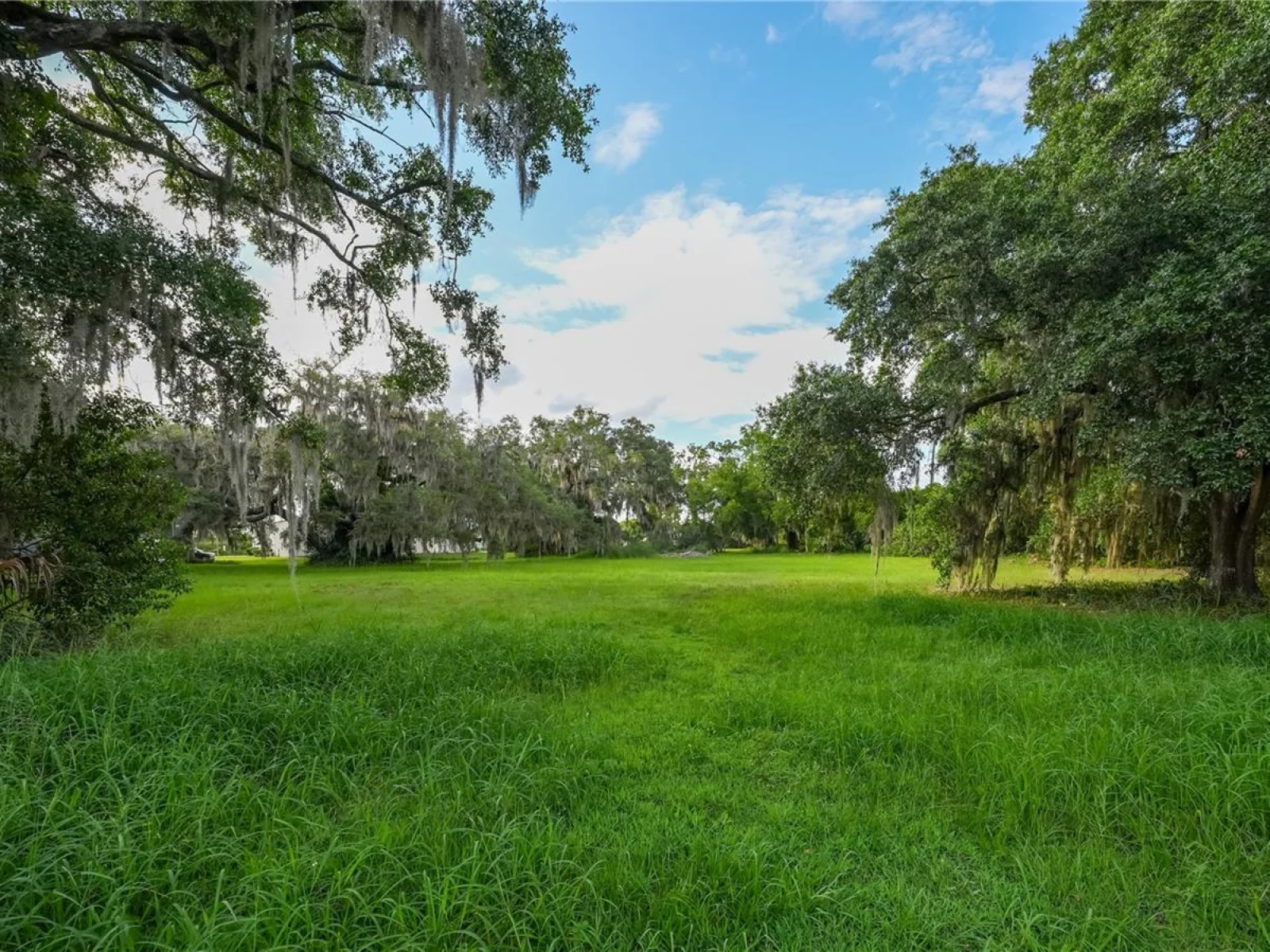 1925 COUNTY ROAD 19A, EUSTIS, FL — photo 37