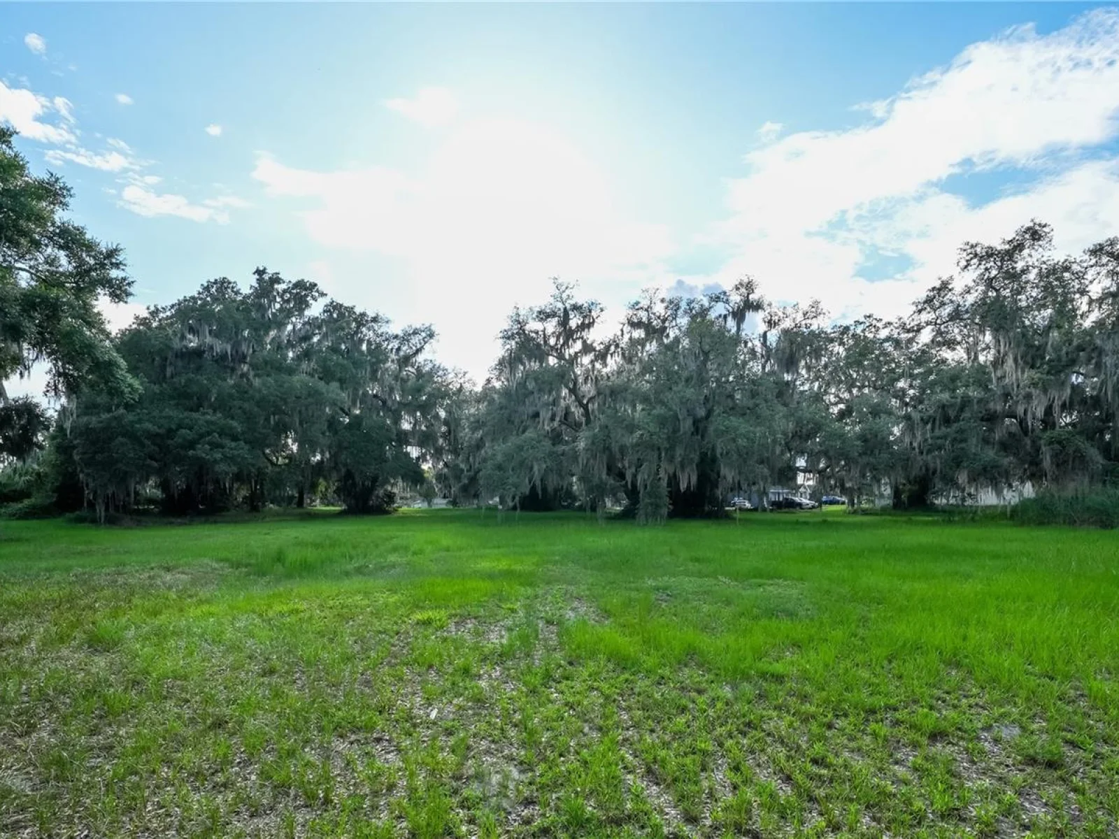 1925 COUNTY ROAD 19A, EUSTIS, FL — photo 38