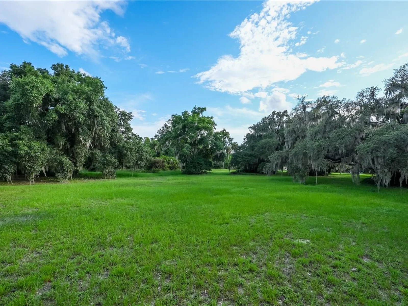 1925 COUNTY ROAD 19A, EUSTIS, FL — photo 39