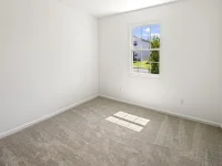 137 GREENHOUSE GROVE ST — photo 14