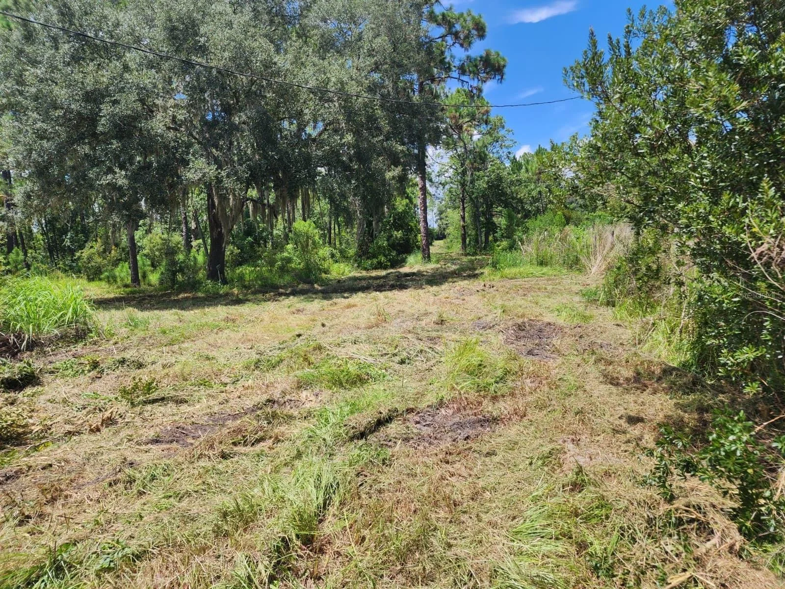 7244 GROVELAND FARMS RD, GROVELAND, FL — photo 2