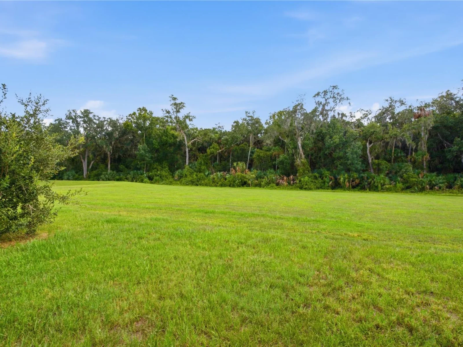 20043 ROYAL TERN CT, LEESBURG, FL — photo 49