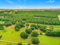 13131 COUNTY ROAD 561A — photo 4