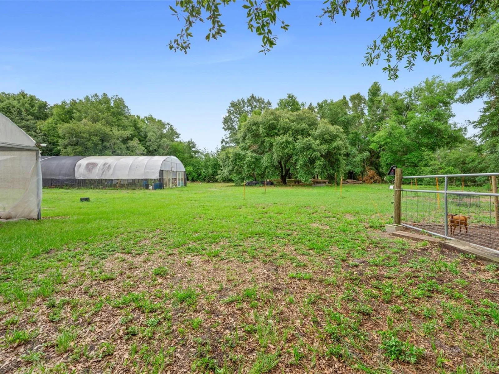 2016 LEWIS RD, LEESBURG, FL — photo 90