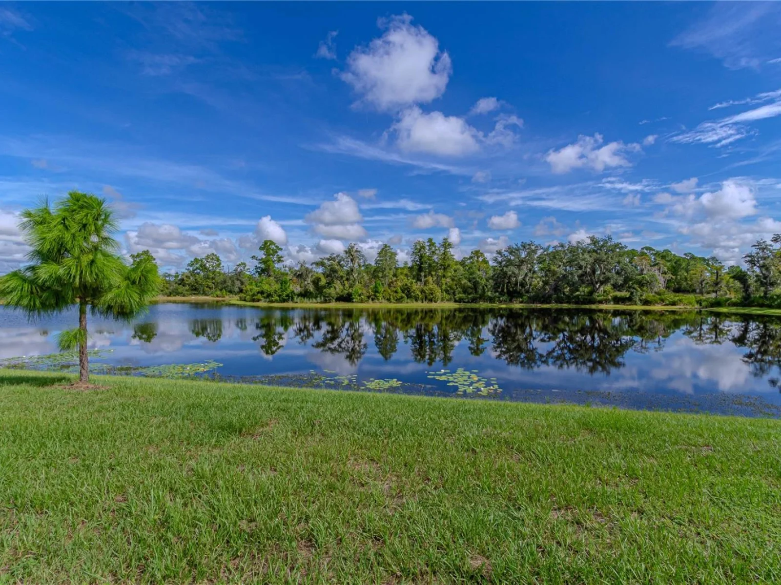 17558 BLAZING STAR CIR, CLERMONT, FL — photo 3