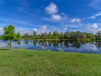 17558 BLAZING STAR CIR — photo 3